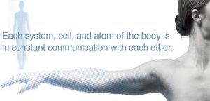 Read more about the article What is Body Talk?